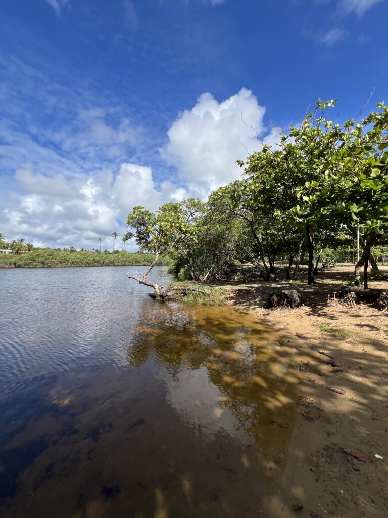 rio imbassai