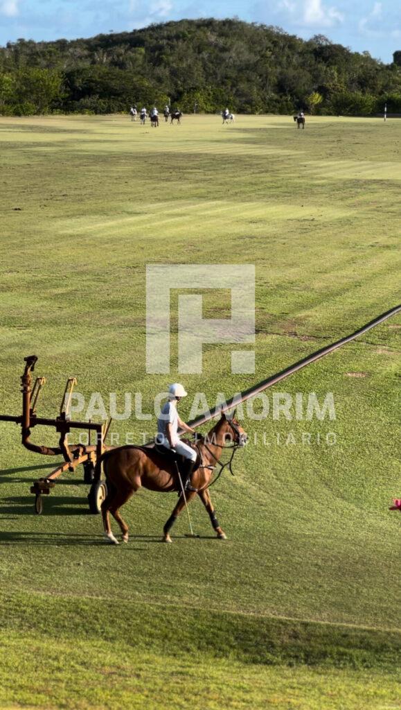 Jogo de polo